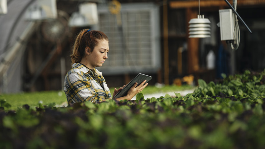 Fattura elettronica: anche gli agricoltori esonerati dall’IVA devono dotarsi della PEC